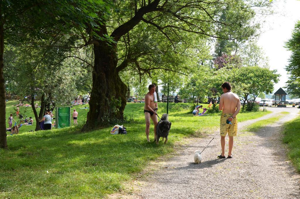Holiday Resort Bela Krajina - Glamping And Mobile Homes メトリカ エクステリア 写真