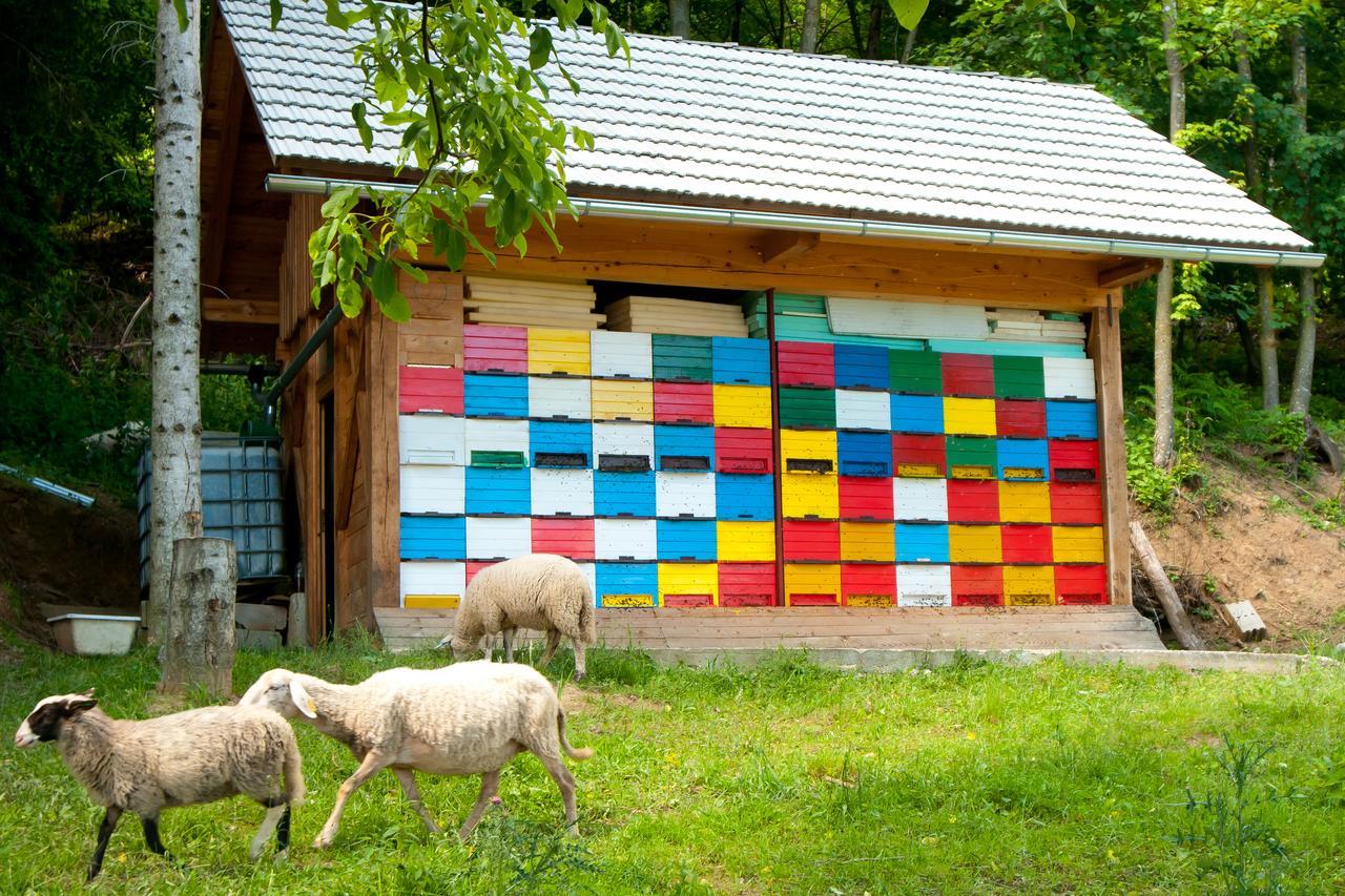 Holiday Resort Bela Krajina - Glamping And Mobile Homes メトリカ エクステリア 写真